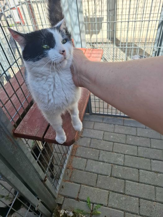 Cudna Frotka poleca się do adopcji