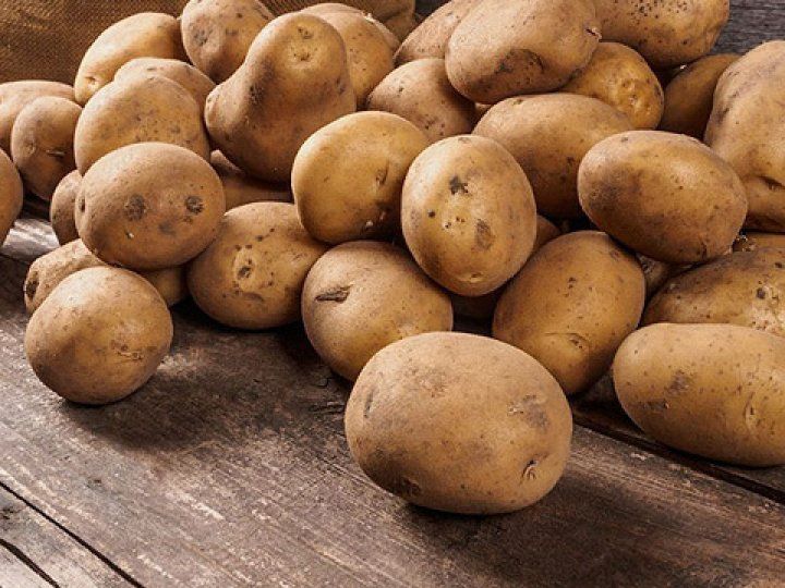 Картопля домашня.