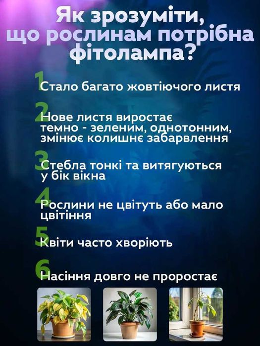 Фито лампа на 2 и 4 ветки Фитолампа Фито освещение