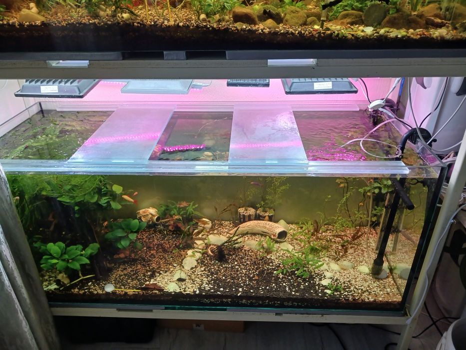 2 акваріума по 460 літрів, з стілажем.