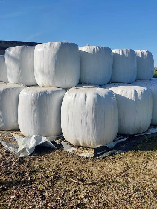 Sianokiszonka w balotach