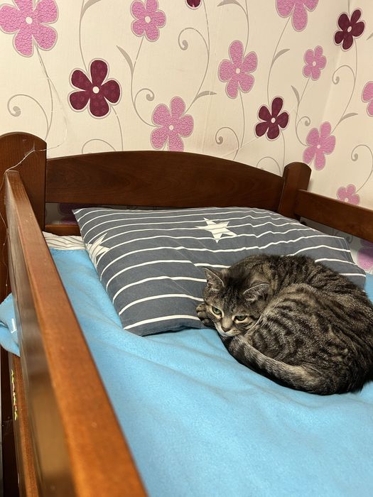 Продам двохярусне деревʼяне ліжко