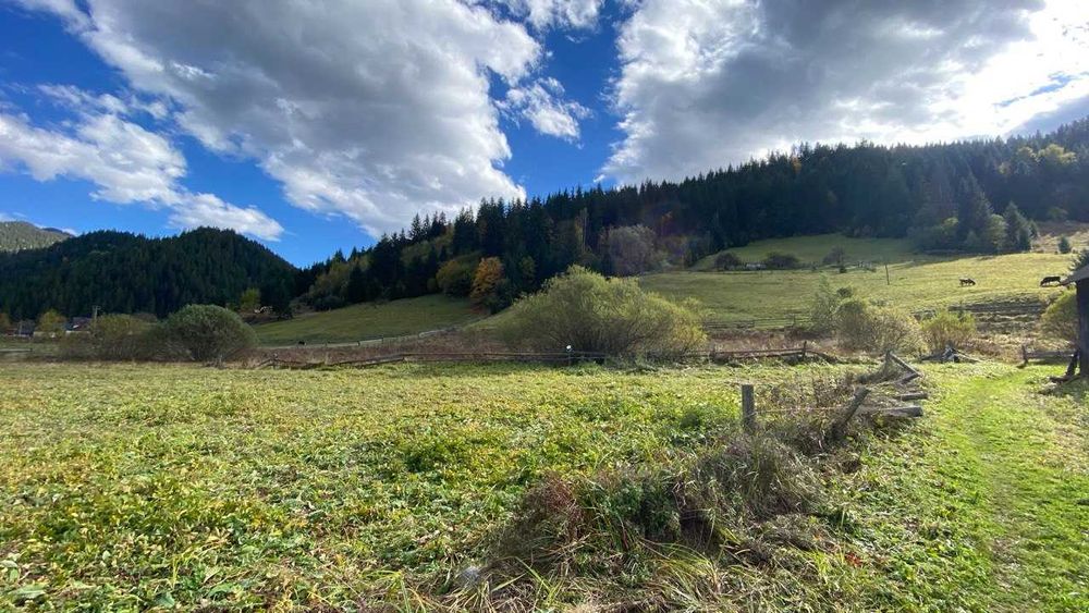 Земельна ділянка в Карпатах, Верховина.