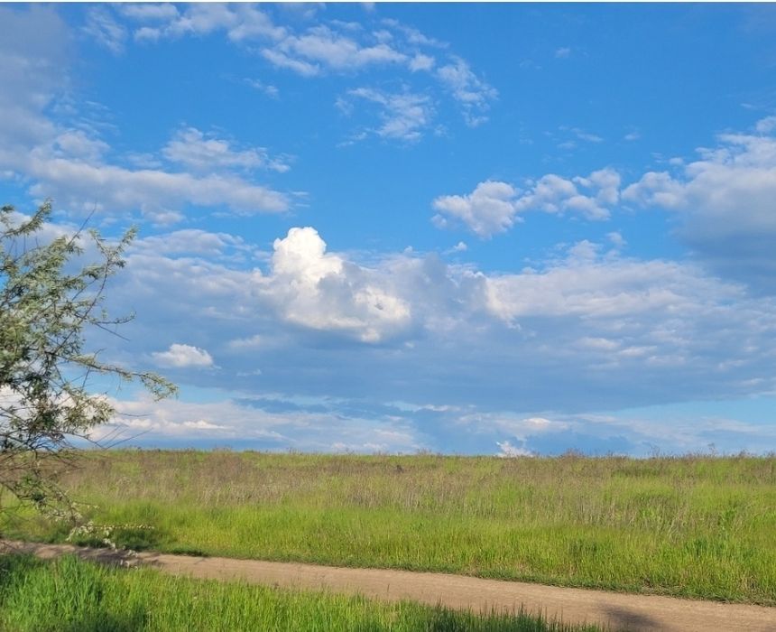 1 гектар в селе Красносёлка с отличным расположением