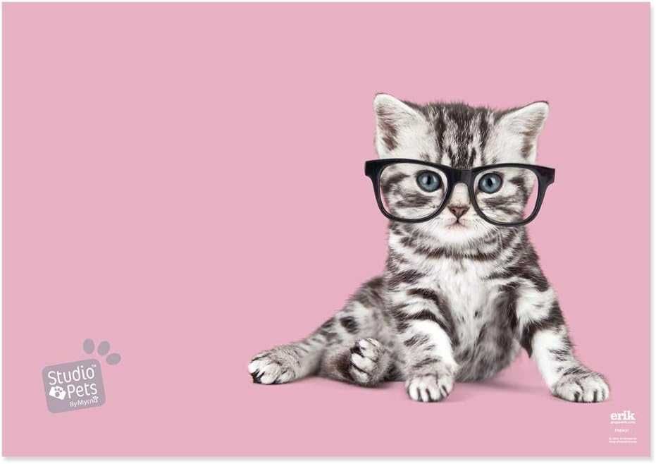 Grupo Erik Wodoodporna Podkładka na biurko mata Studio Pets Koty