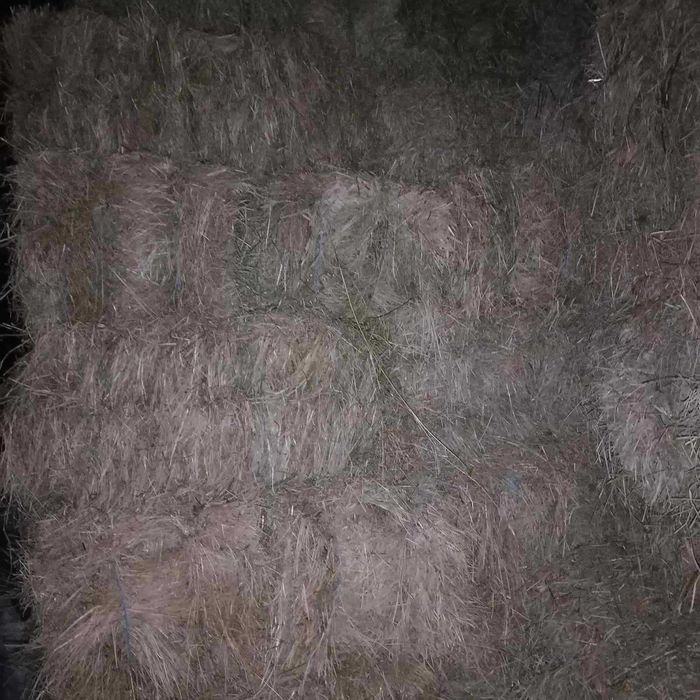 Продам лугове СІНО в тюках вага 20-25кг.ціна 90грн.