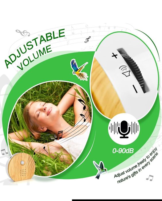 Caixa De Música Com Sons De Pássaros