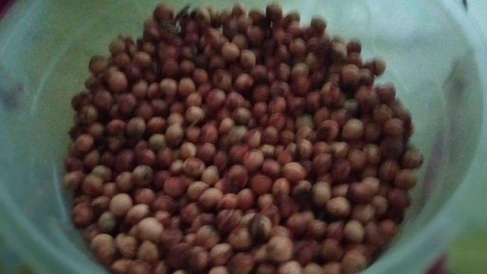 Продам косточку вишни