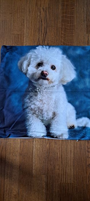 Наволочки нові з принтами  собачок(болонка) 45×45