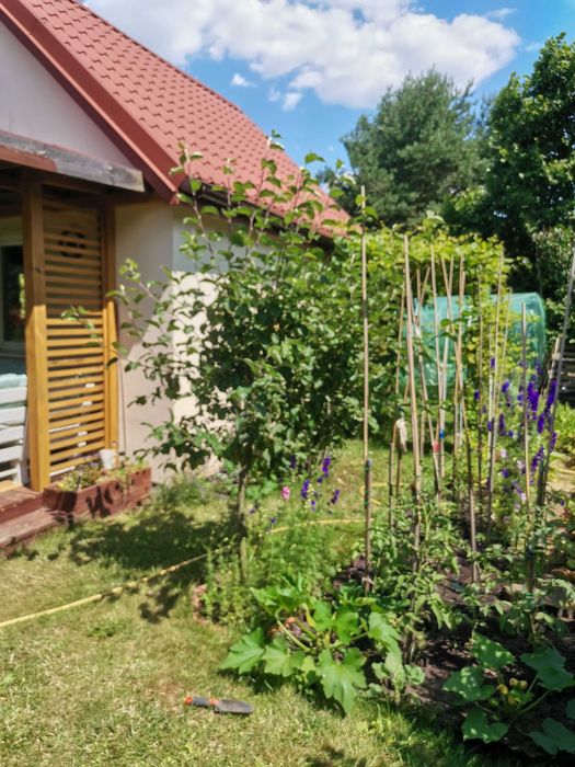 dzia-ka-rod-300-m2-warszawa-targ-wek-olx-pl