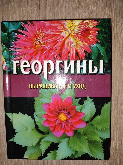 Георгины. Выращивание и уход