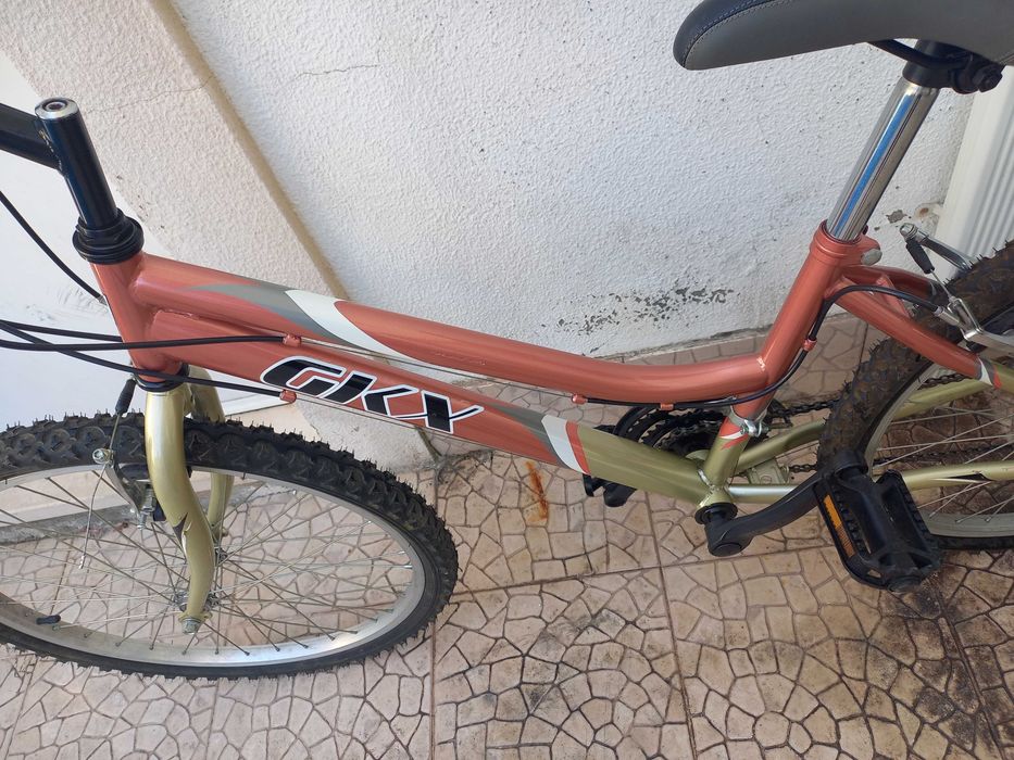 Bicicleta Adulto