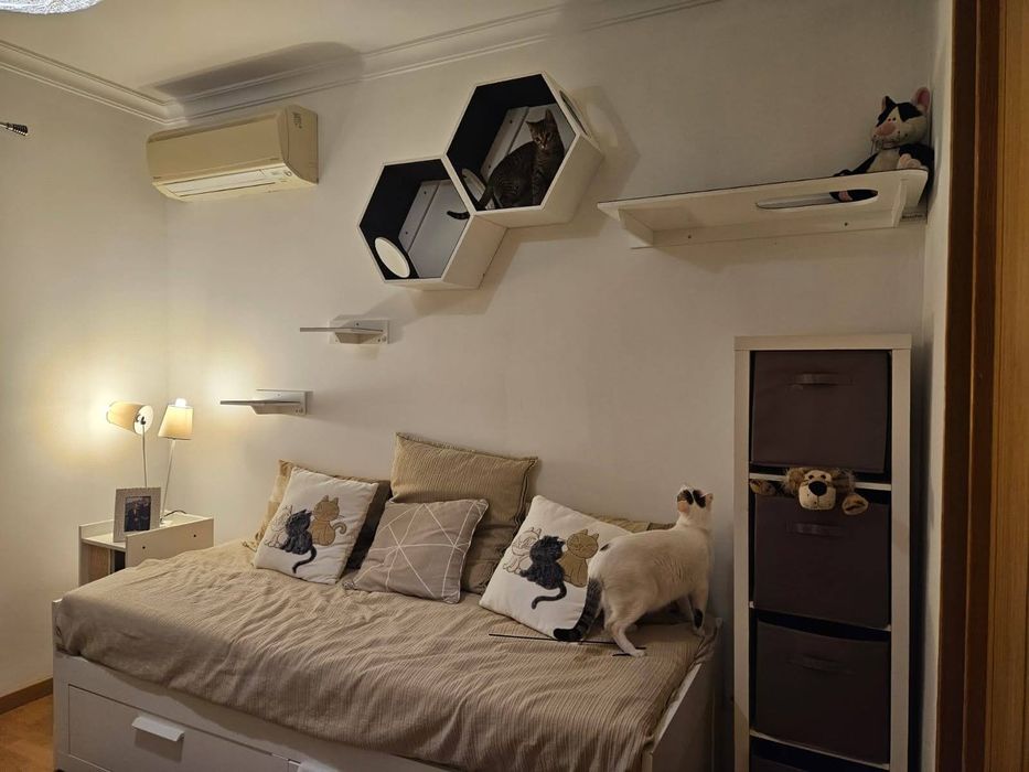 PLAYGROUND para gato - Parque de brincar para gato-Parquinho para gato