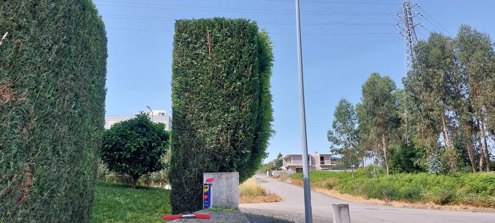 Trabalhos de jardinagem