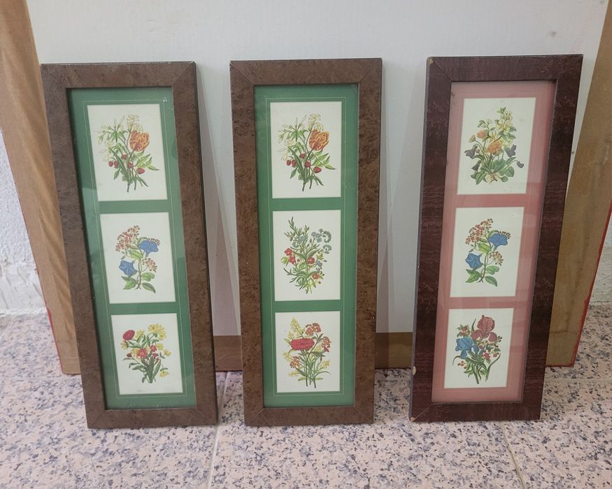 Quadros Decoração ver fotos