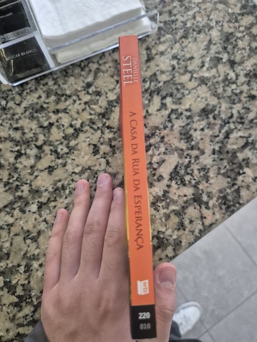Livro A casa da Rua da Esperança - Danielle Steel
