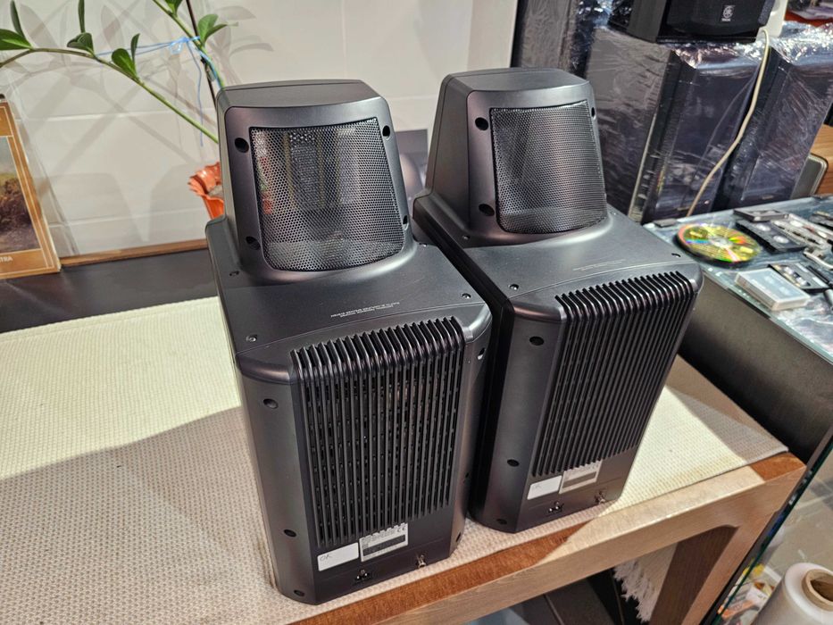 Електростати Sony SA-EX100 / SONY SA-S900