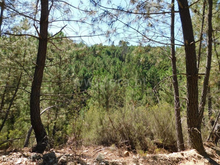 Terreno / Fundão, Enxabarda