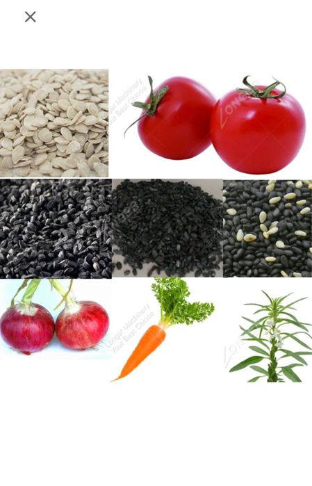 Сівалка 12 рядна овочева точного висіву