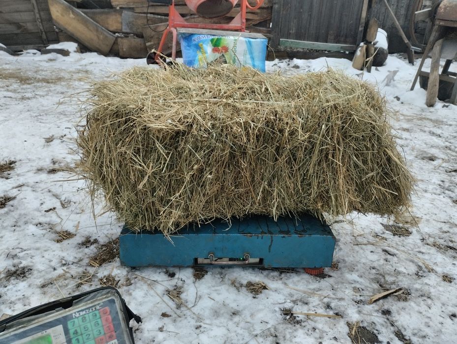Сіно солома не дорого