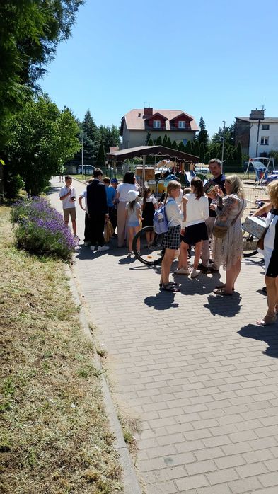 Lody na eventy i imprezy okolicznościowe
