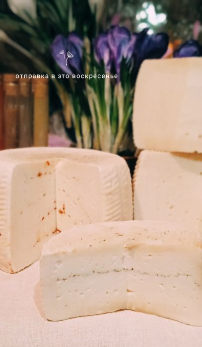 Сир козячий справжній