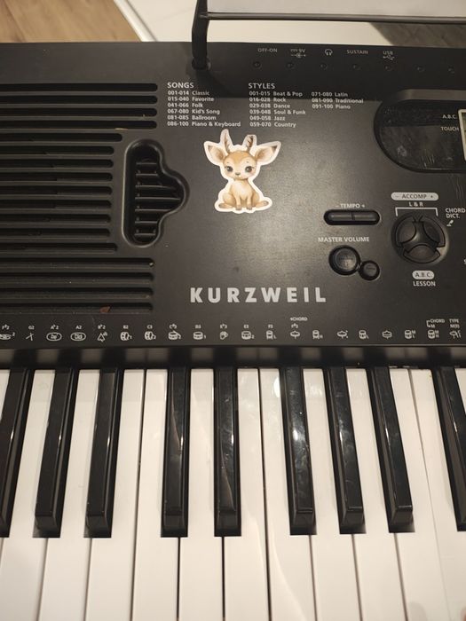 Keyboard  stan odealny