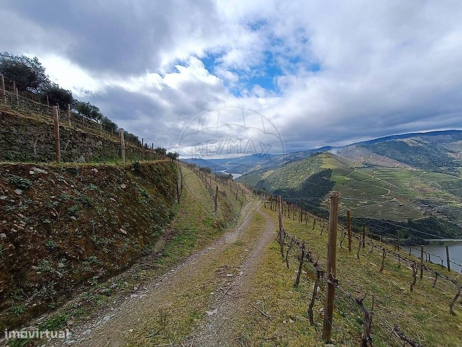 Terreno  para venda