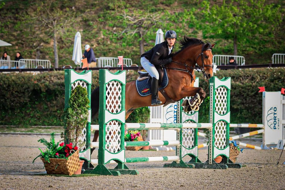 Cavalo para venda ou troca por egua