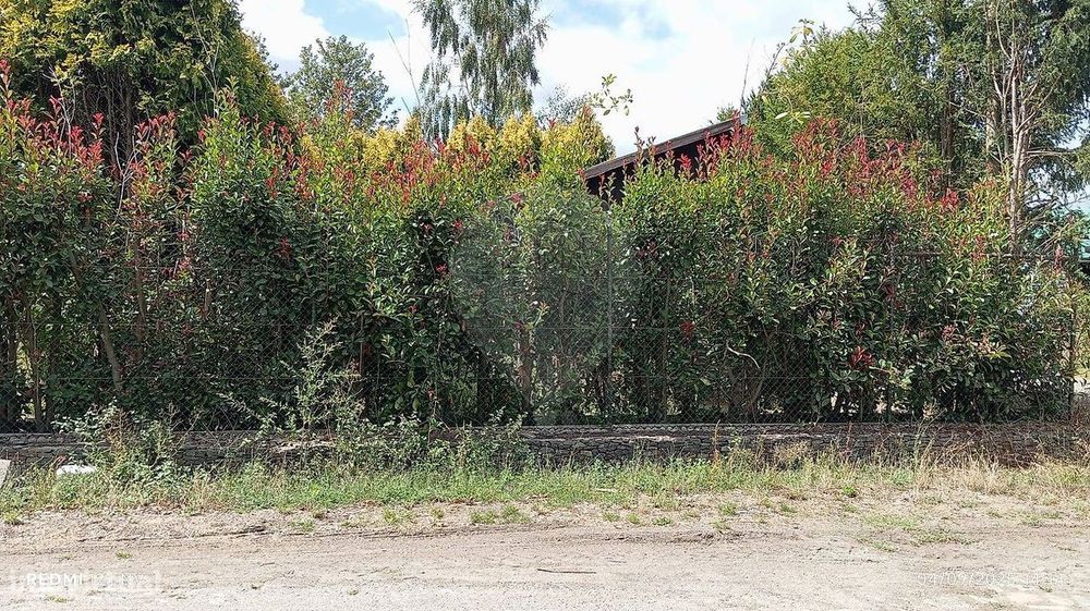 Terreno  para venda
