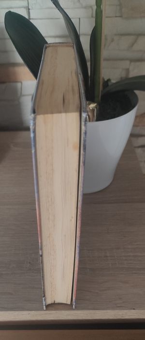 Poszukiwacze szczęścia - Tishani Doshi