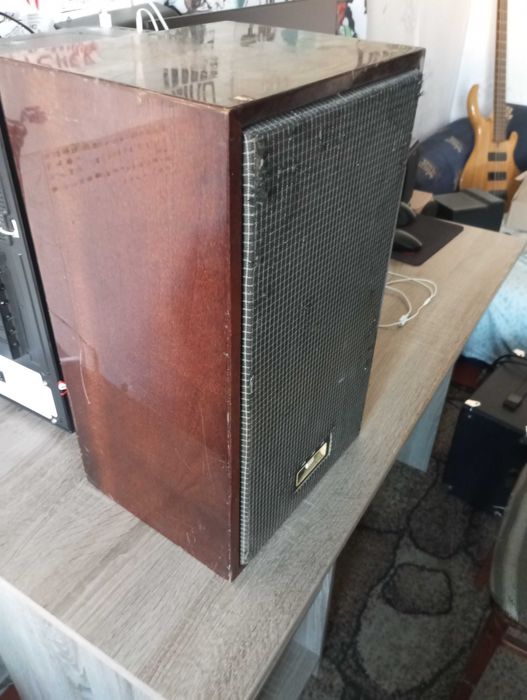 Колонка Вега 25АС-2, с самодельным встроеным усилителем.