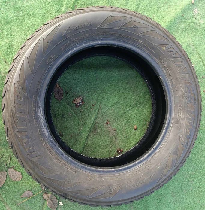 Шини Nokian і Delinte 225/65 r17