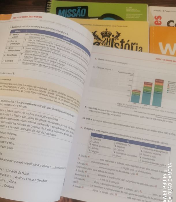 Cadernos de actividades 8 ano