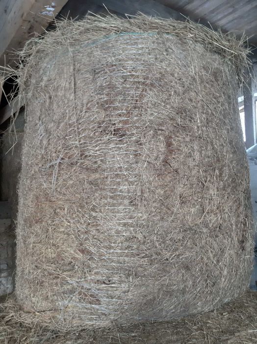 Sprzedam śiano bele