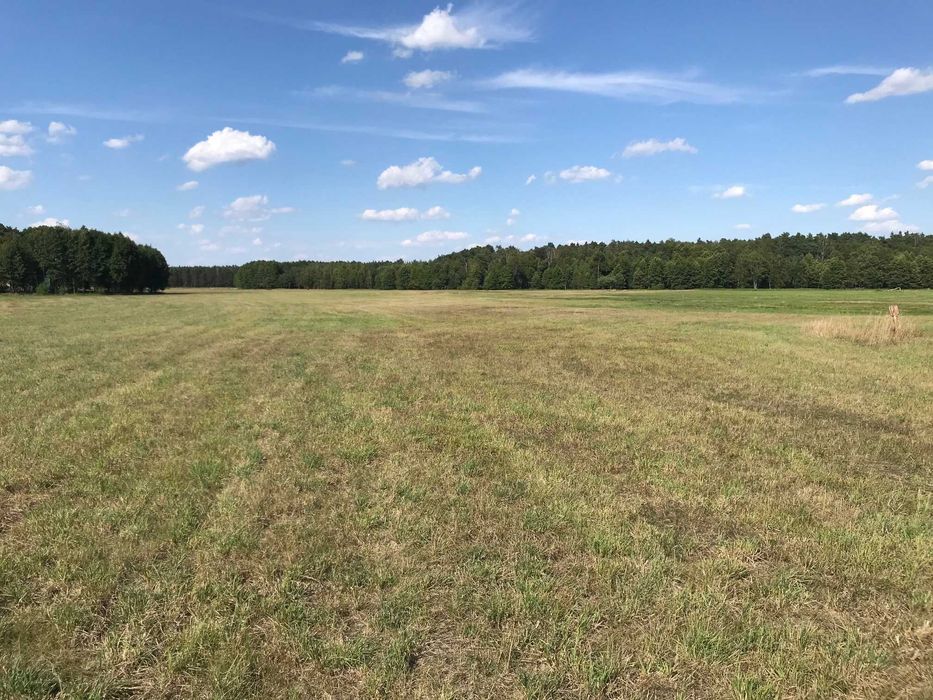 trawa na pniu siano sianokiszonka baloty ok 80ha