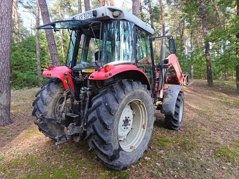 Do sprzedania Massey Ferguson 5435