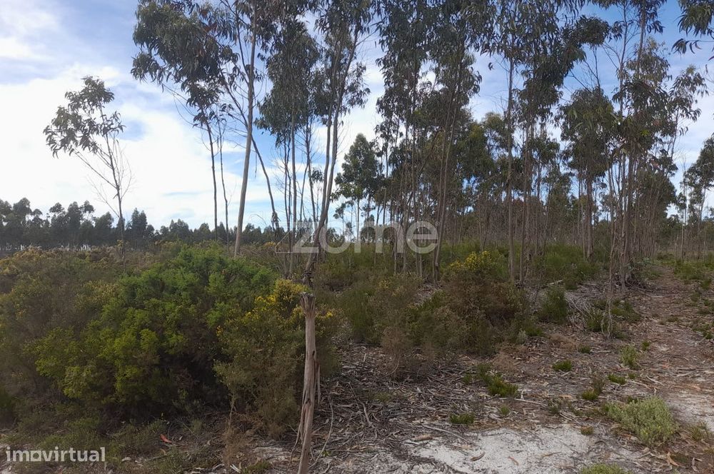 Terreno Rustico com 12580m2