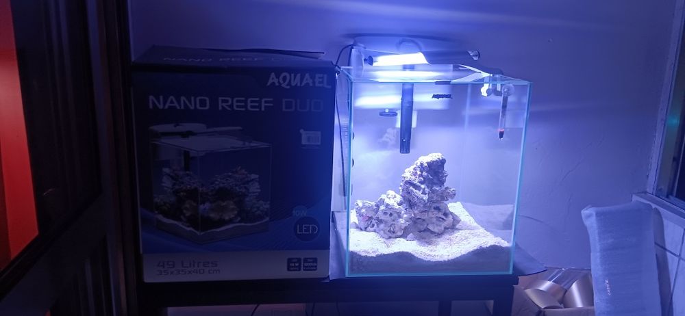 Aquario nano reef aquael 49litros Último preço