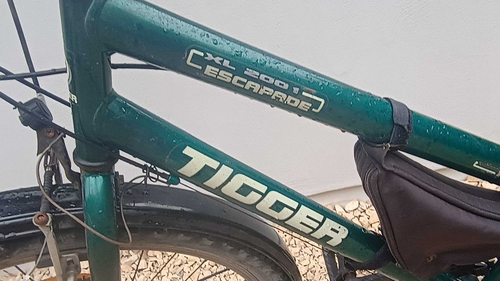 Rower (MTB) marki Tigger