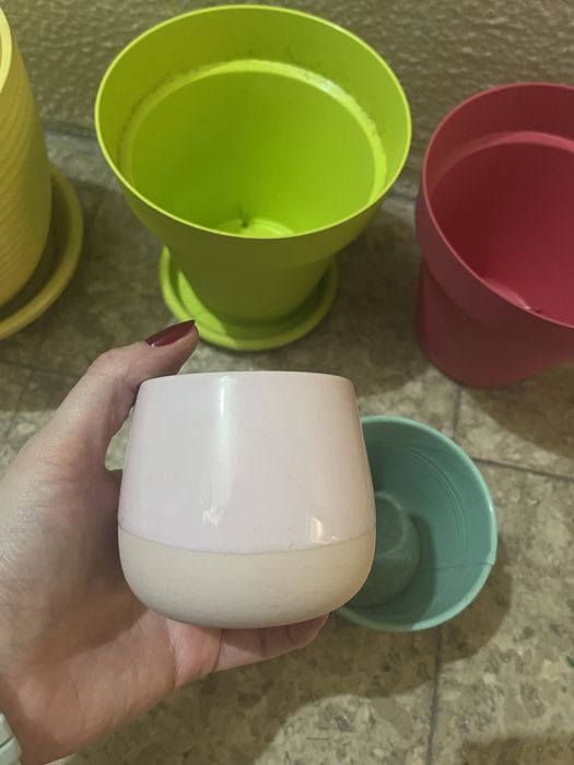 Vasos de plantas variados