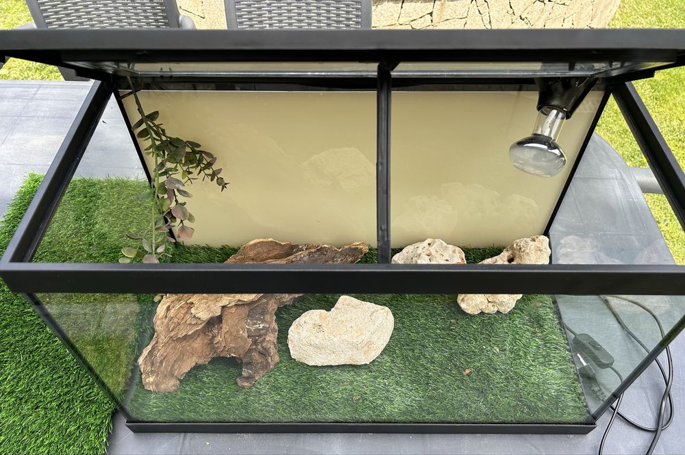Terrário para Répteis 62x36x31 cm – Completo com 2x tapete sintentico e como novo