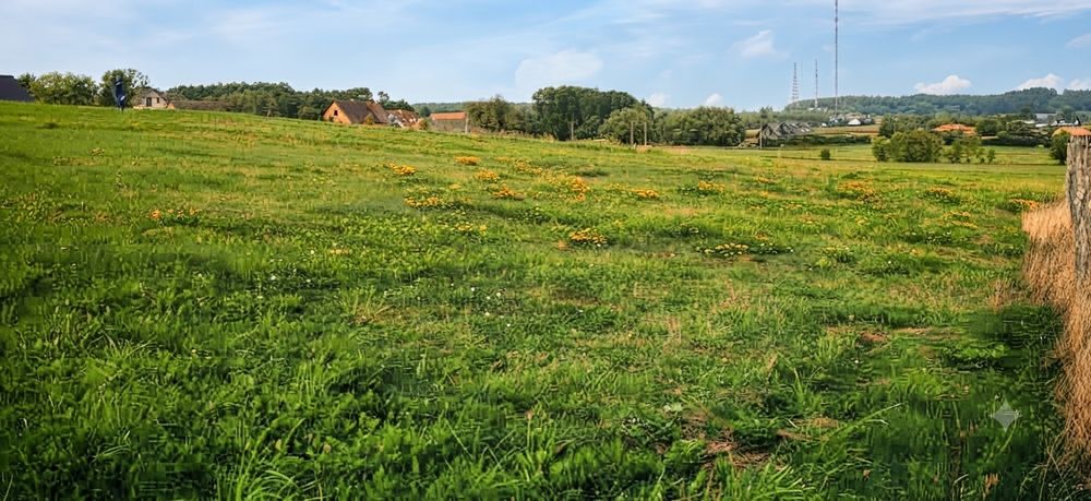 Zdjęcie 4