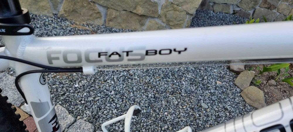 Rower FOCUS Fat Boy