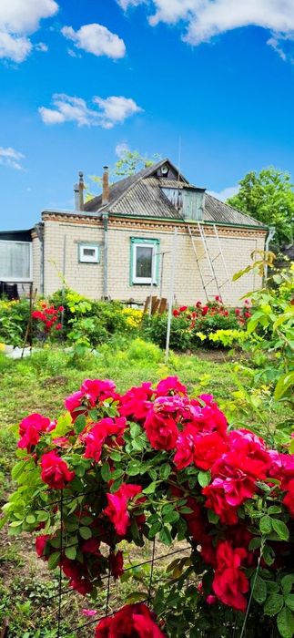 ПРОДАМ будинок у центрі с.Миколаївка, Самарівський район.