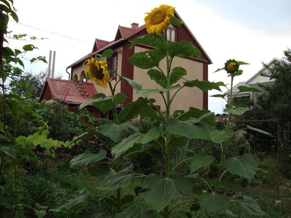 Дом по адресу (площадь 105 м²) - Atlanta.ua - фото 10