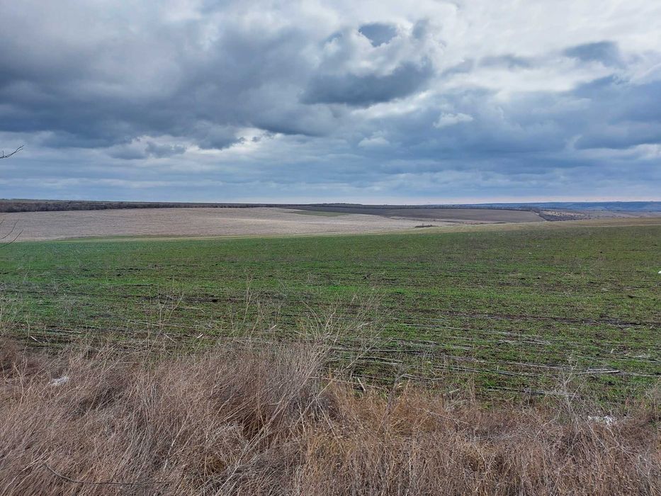 земля сельскохозяйственного назначения