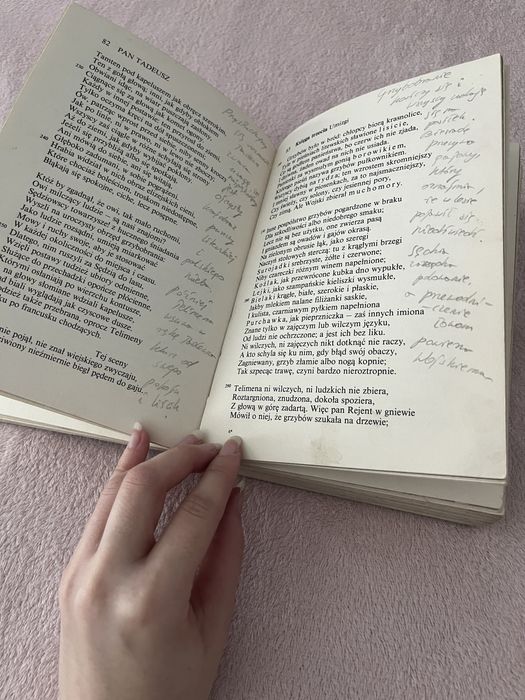 Książka: Pan Tadeusz - Adam Mickiewicz