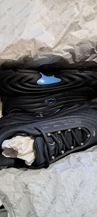 sapatilhas originais Lacoste  NOVAS