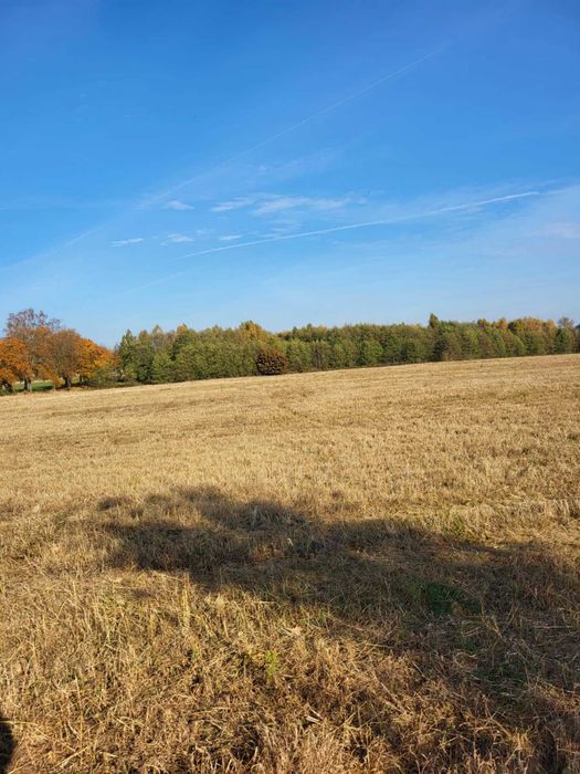 Działki rolne na sprzedaż - Widok 2